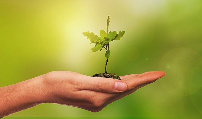 violência contra ambientalistas