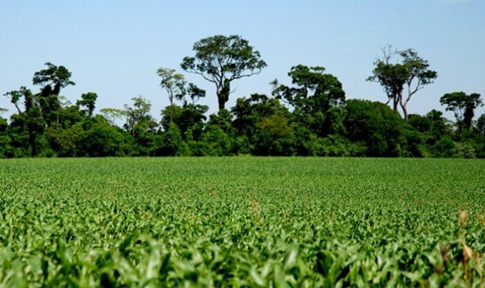 Meio Ambiente e Agricultura